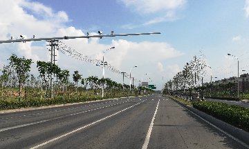 定远县滁淮高速连接线绿化工程