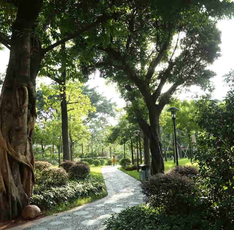 广州市标志性广场--海珠广场园林景观工程